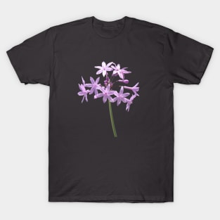 Society Garlic Close Up Cut Out T-Shirt